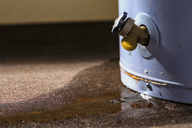 Best Flood restoration services  in Madrid, IA