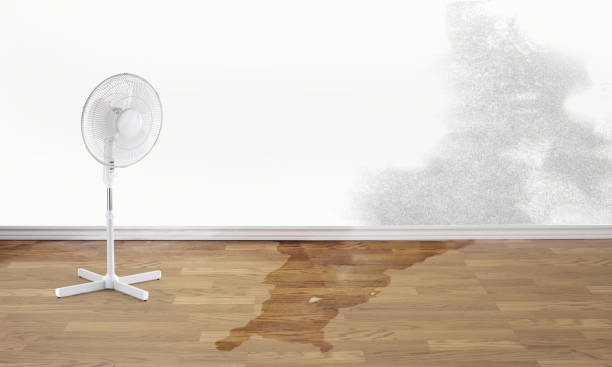 Best 24/7 water damage repair  in Madrid, IA