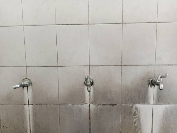 Best Water damage restoration near me  in Madrid, IA
